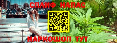 мдпв Жуковский